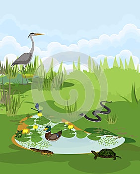 Pond biotope with different animals bird, reptile, amphibians